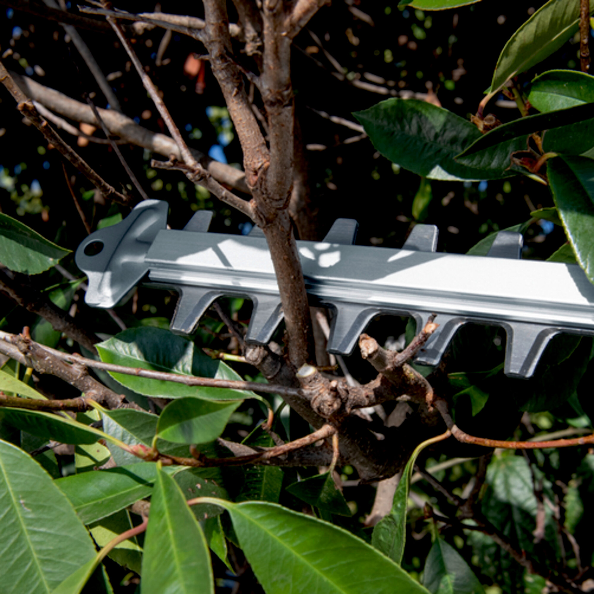 Акумуляторний кущоріз HGE 18-50 Battery - Зображення 4