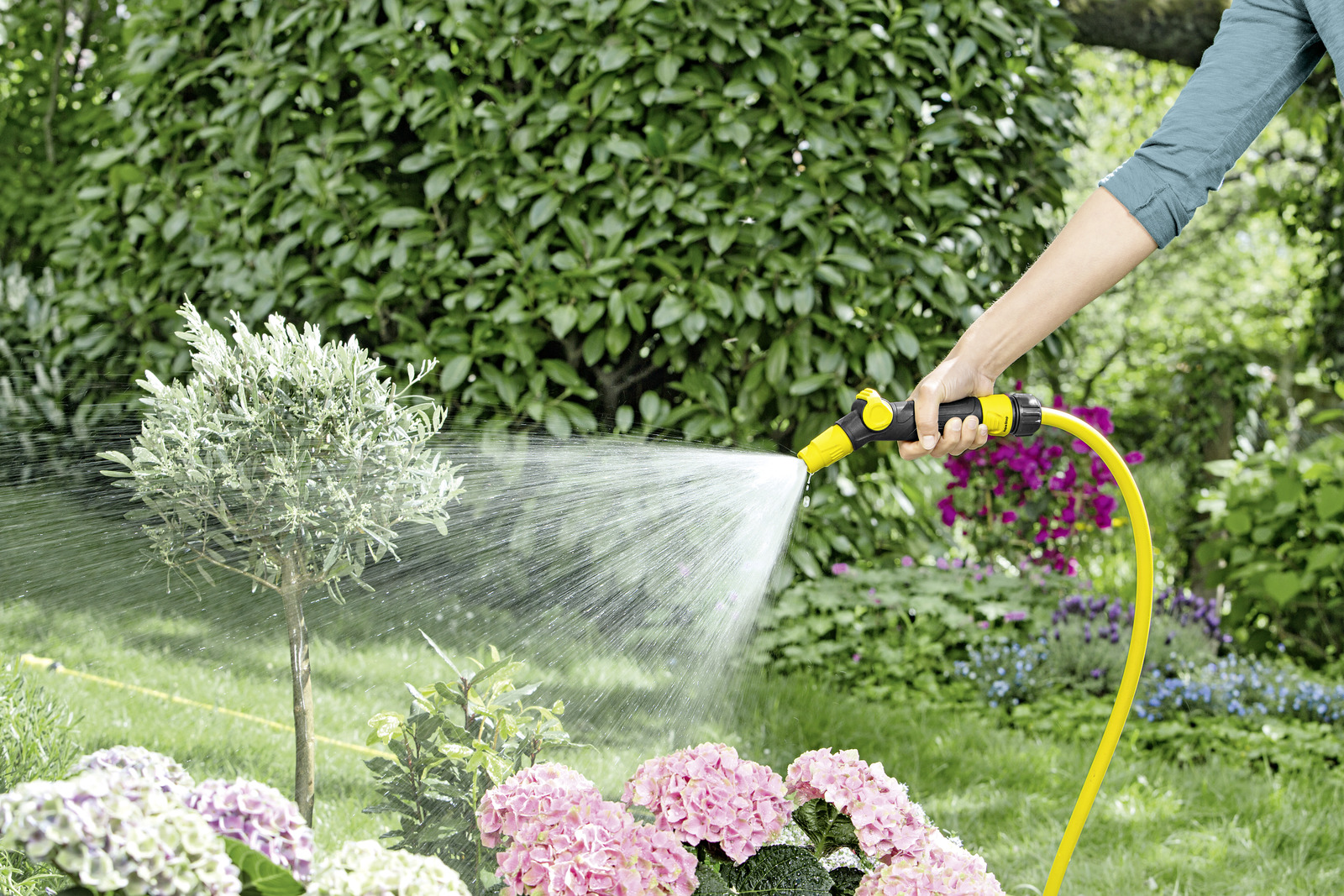 Шланг PrimoFlex 1/2 - 50м - Зображення 2